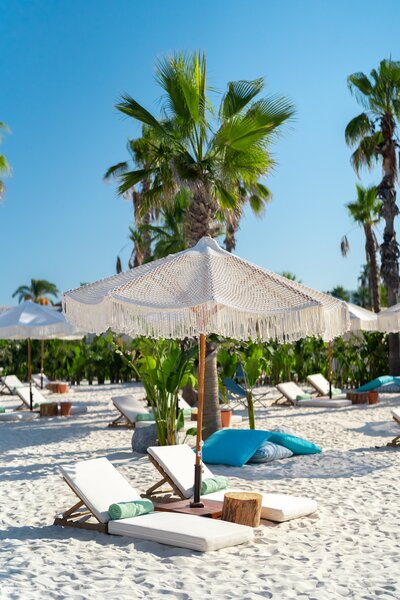 Regnum Carya 7