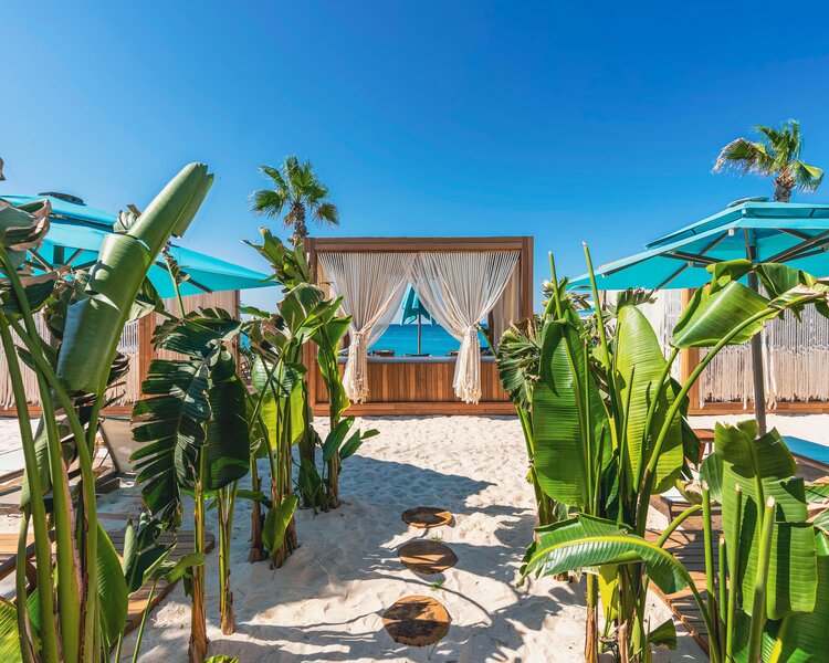 Regnum Carya 50