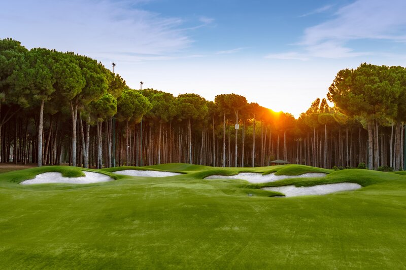 Regnum Carya 44