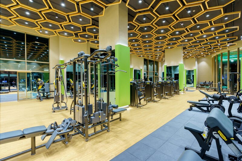 Regnum Carya 47
