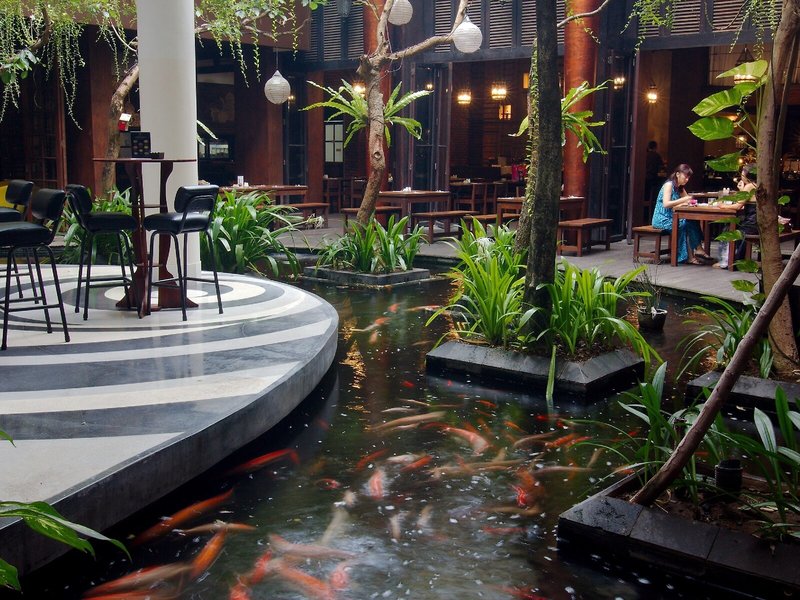 Swiss-Belhotel Rainforest 11