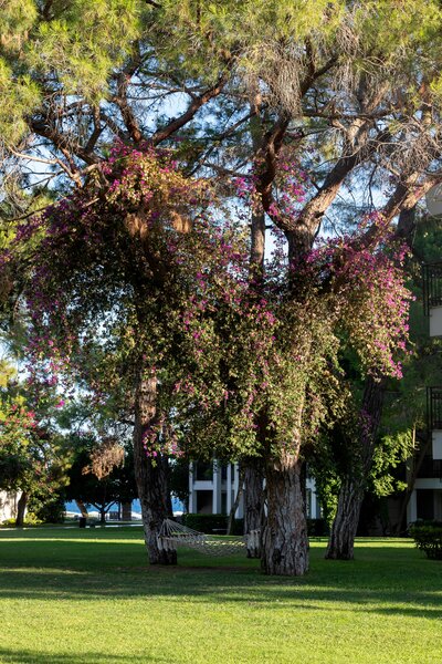 Sherwood Exclusive Kemer 83