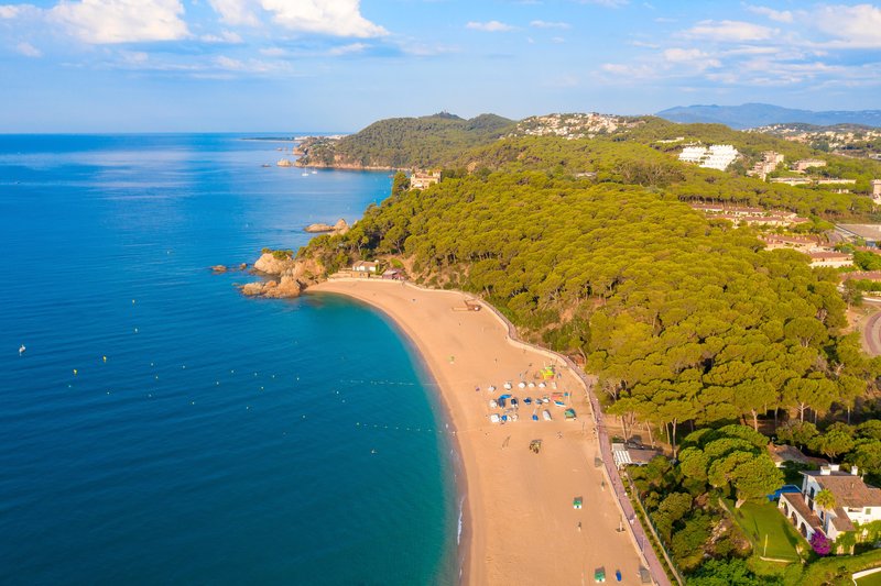htop Royal Star 46
