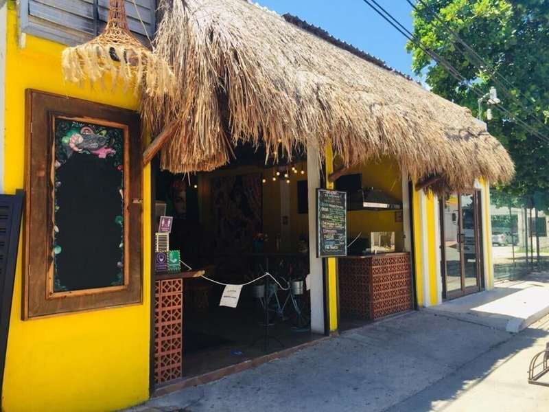 Casa de las Flores 6