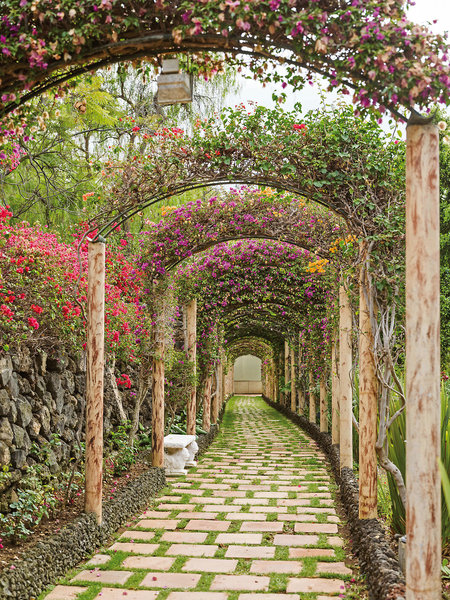 Maritim Hotel Tenerife 26