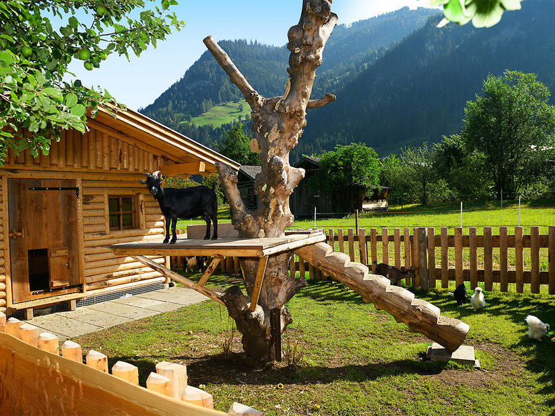 Hotel Auhof 7