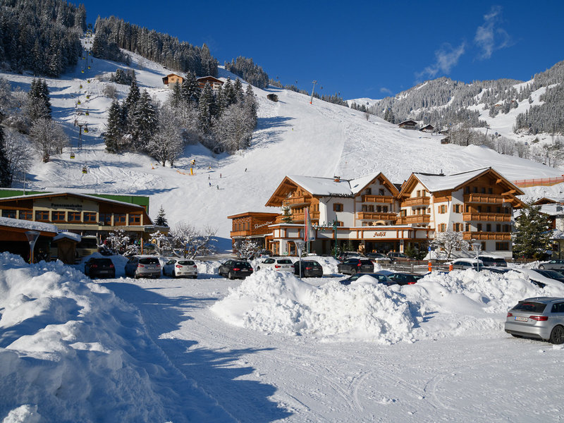 Hotel Auhof