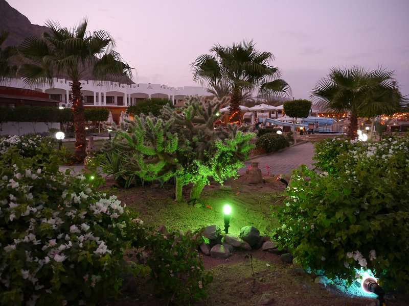 Happy Life Village 7