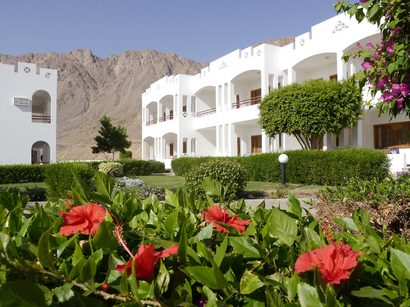 Happy Life Village 8