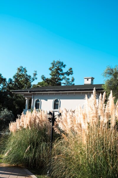 Venezia Palace Deluxe Resort Hotel 56