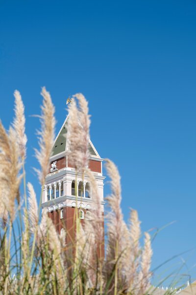 Venezia Palace Deluxe Resort Hotel 71