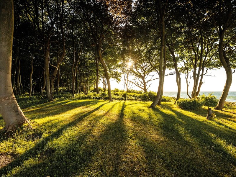 Weissenhaus Grand Village Resort & Spa 4