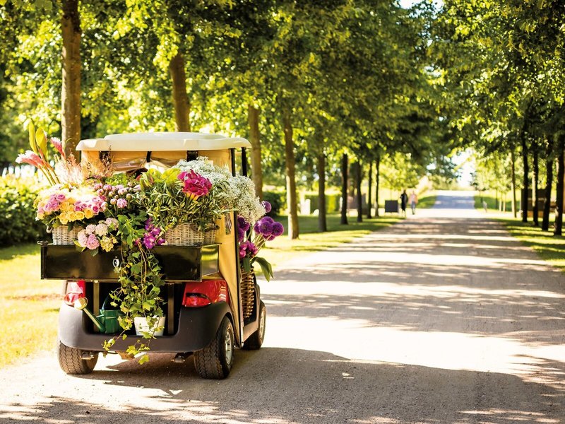 Weissenhaus Grand Village Resort & Spa 5