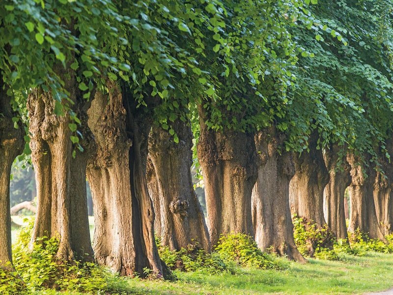 Weissenhaus Grand Village Resort & Spa 8