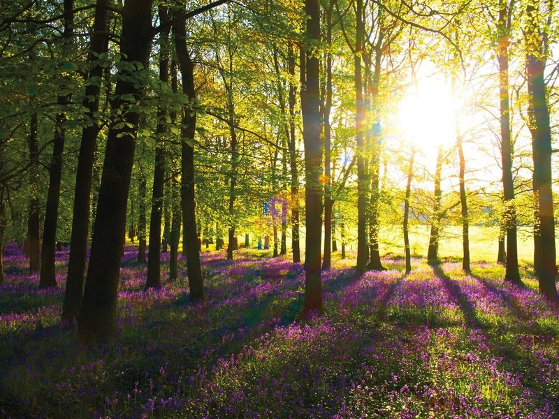 Weissenhaus Grand Village Resort & Spa 9