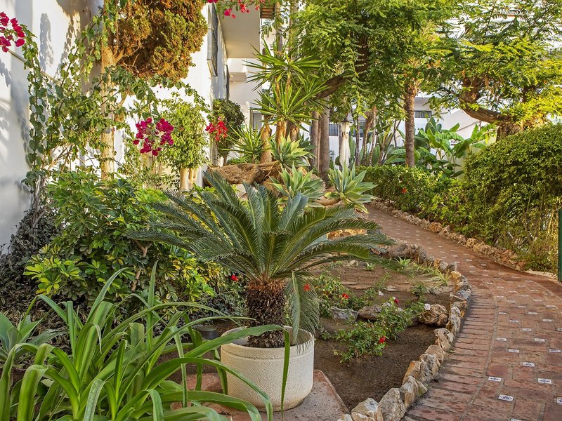 Royal Oasis Club at Pueblo Quinta 7