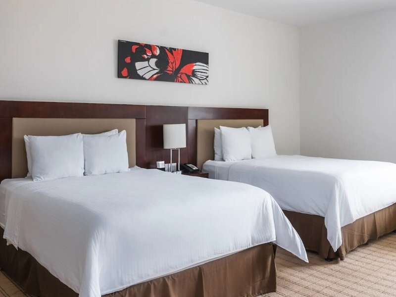 Wyndham Garden San Jose Escazu 30 - Room Example