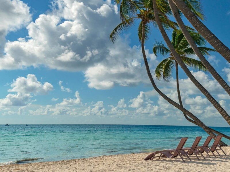 The Westin Puntacana Resort & Club 9