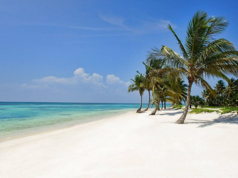 The Westin Puntacana Resort & Club 12