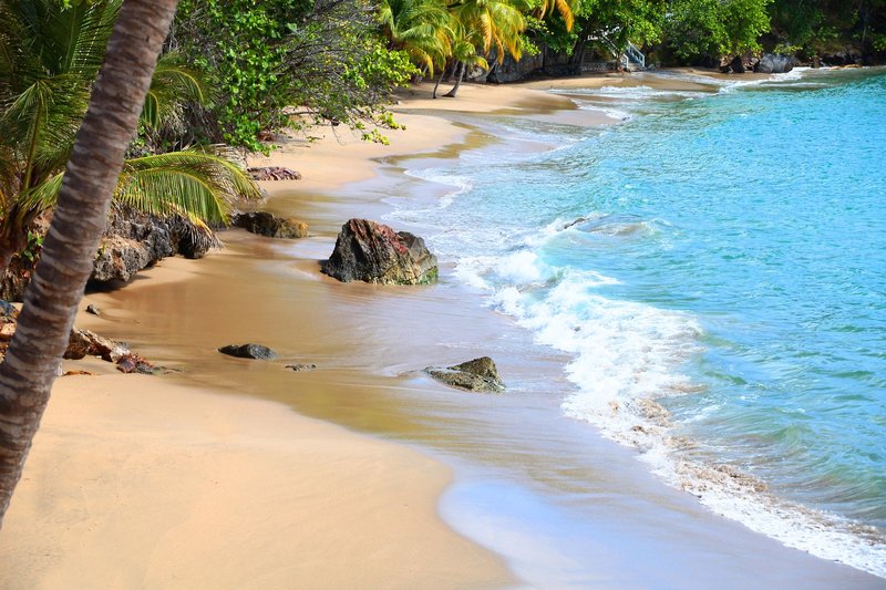 Bahia Principe Grand Samana 8