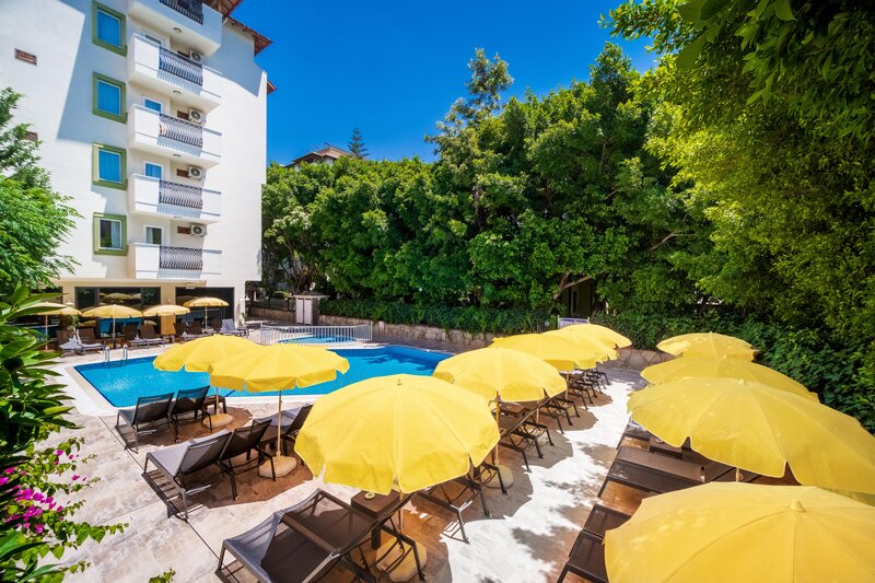 Villa Sunflower Hotel 6