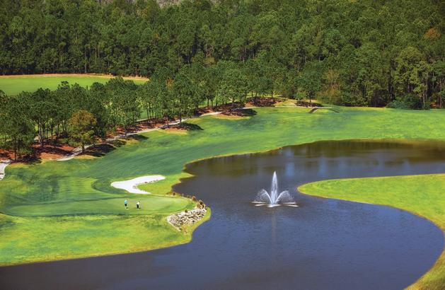 Four Seasons Resort Orlando at Walt Disney World Resort 36