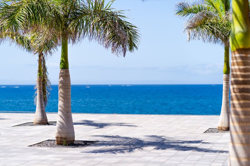 Hovima Jardin Caleta 8