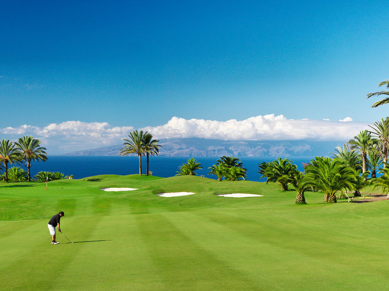Jardin Tropical 40
