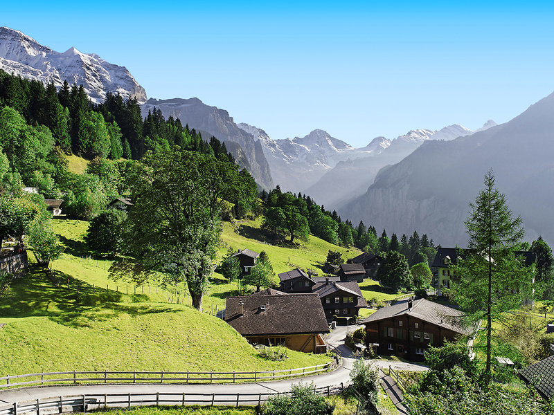 Alpenrose Wengen 3