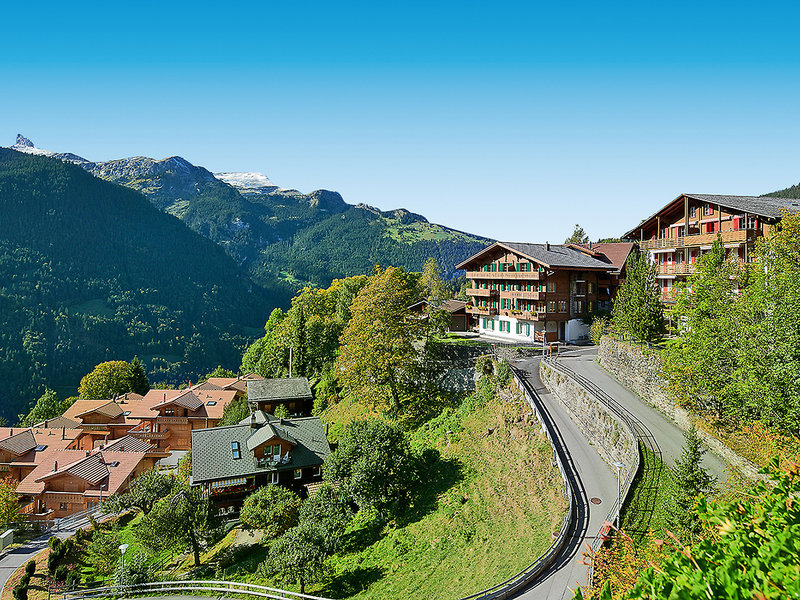 Alpenrose Wengen 5