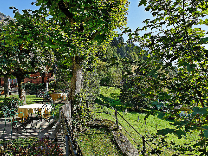 Alpenrose Wengen 6