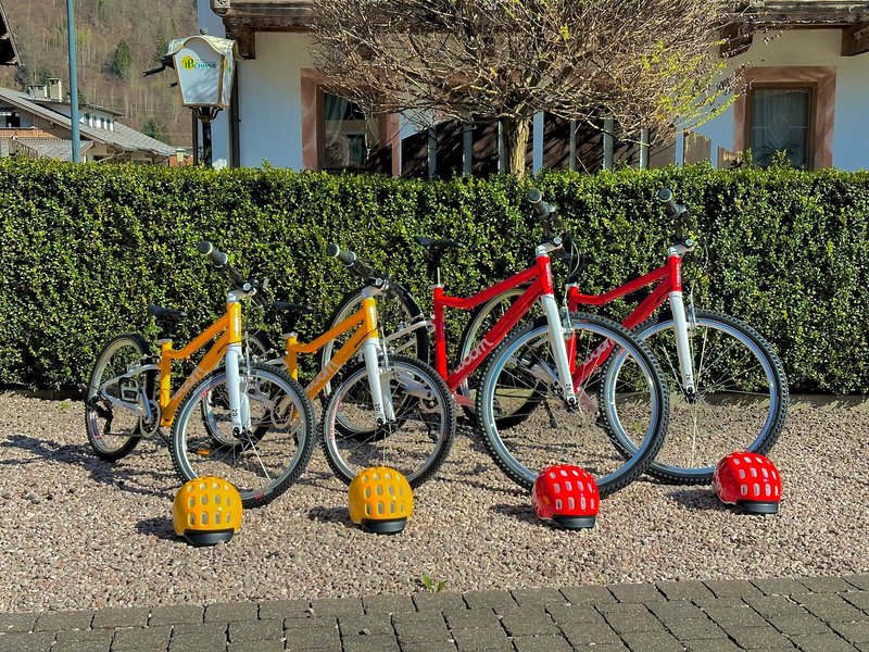 Bachmayerhof & Nebenhäuser 30