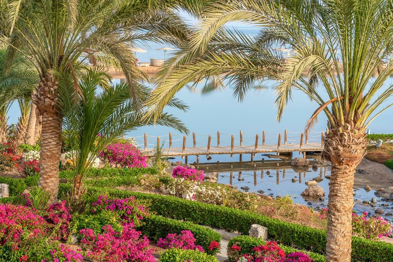 Mövenpick Resort & Spa El Gouna 18