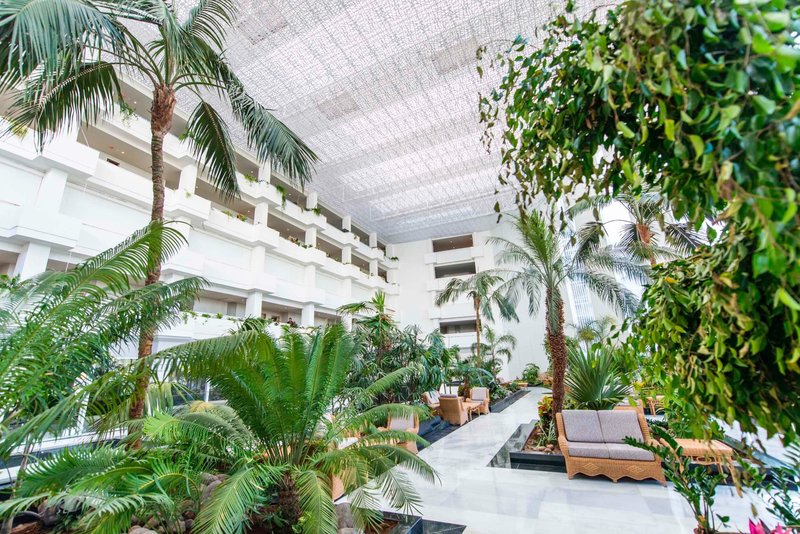Spring Hotel Vulcano 2