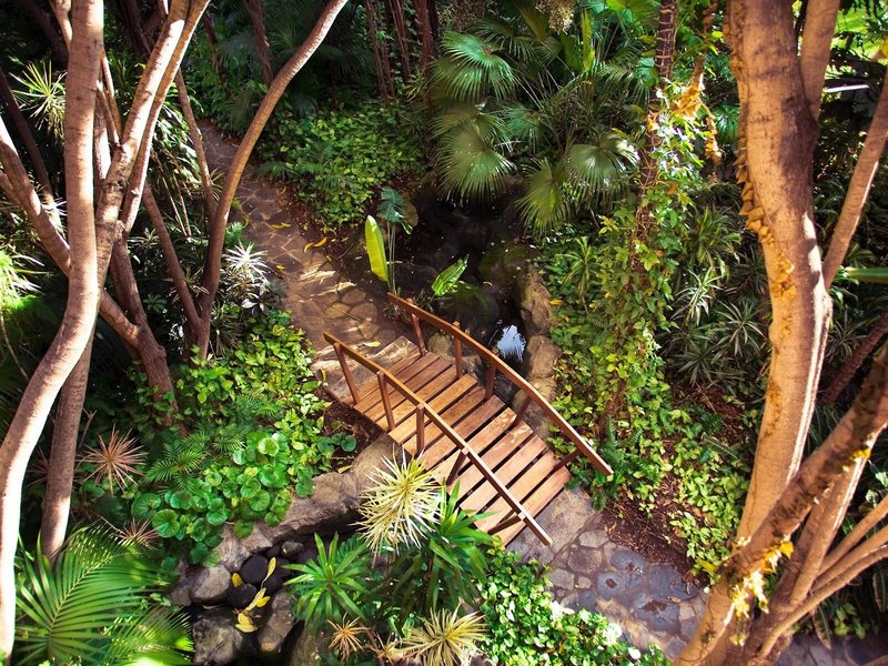 Hotel Botanico & The Oriental Spa Garden 8