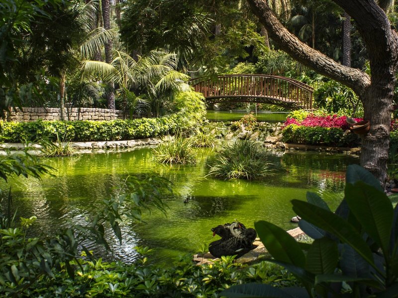 Hotel Botanico & The Oriental Spa Garden 6