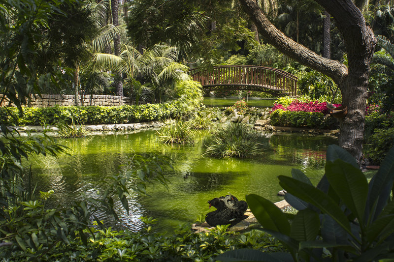 Hotel Botanico & The Oriental Spa Garden 6