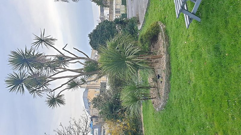 Heathlands Hotel Bournemouth 4 - Garden