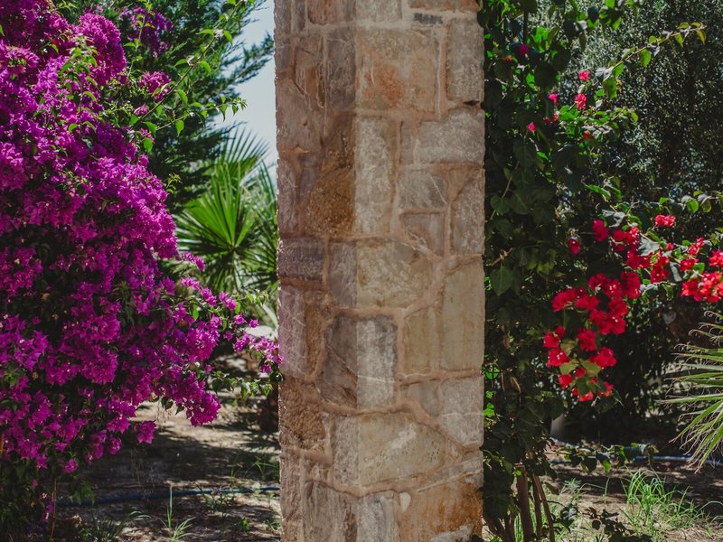 Camvillia Resort & Spa 18