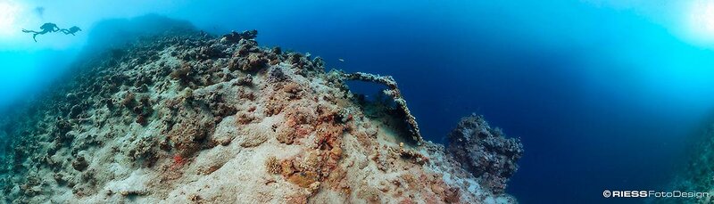 Flamenco Beach & Resort 81