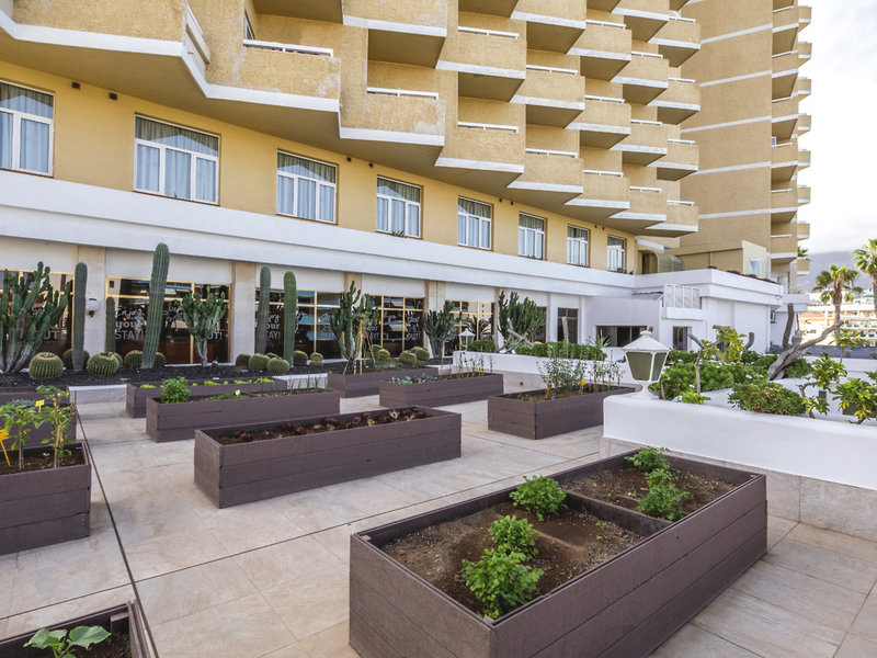 Be Live Adults Only Tenerife 9