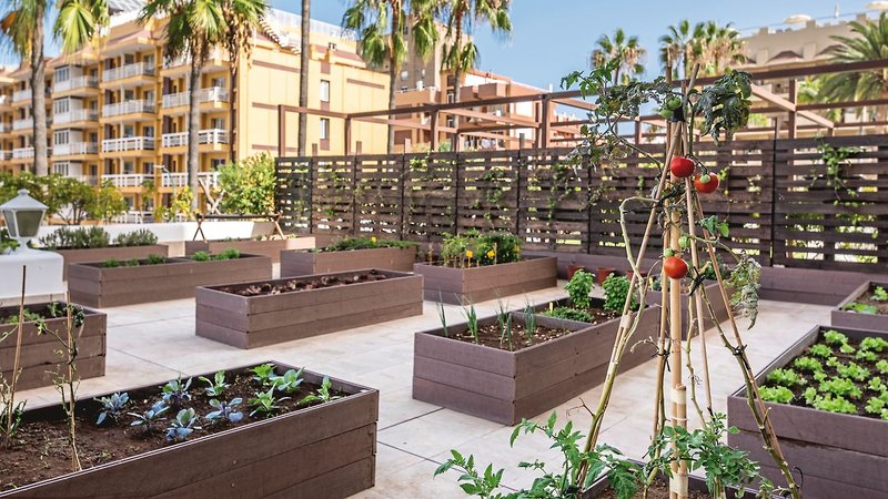 Be Live Adults Only Tenerife 22