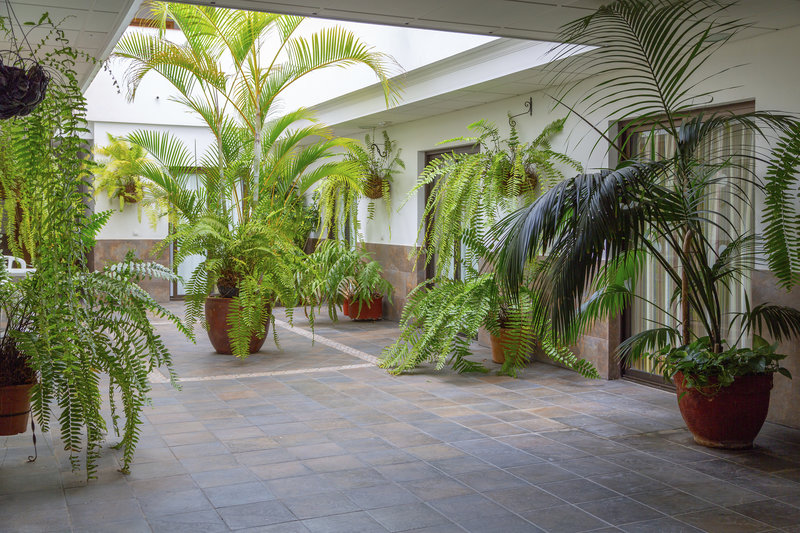 Hotel Marquesa 9