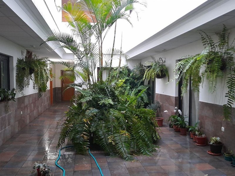 Hotel Marquesa 11