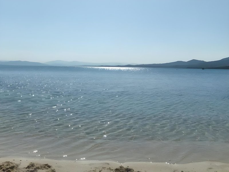 Tabby 5 - Beach