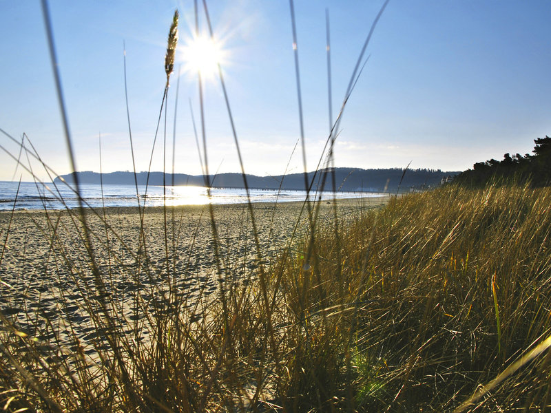 Arkona Strandresidenzen Binz 8