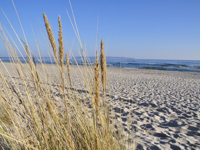Arkona Strandresidenzen Binz 10