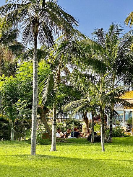 Hotel Tigaiga 7