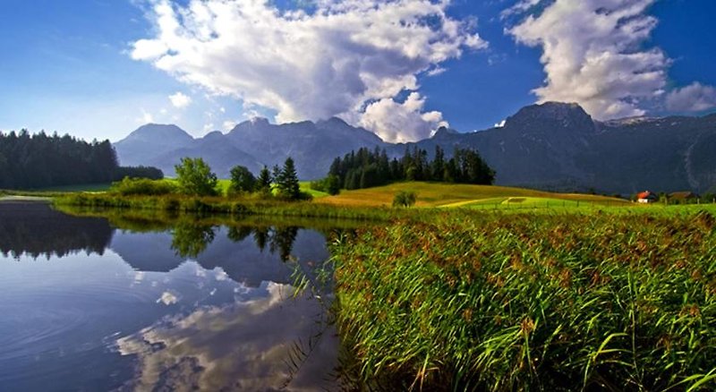 Hotel Lammertalerhof 4