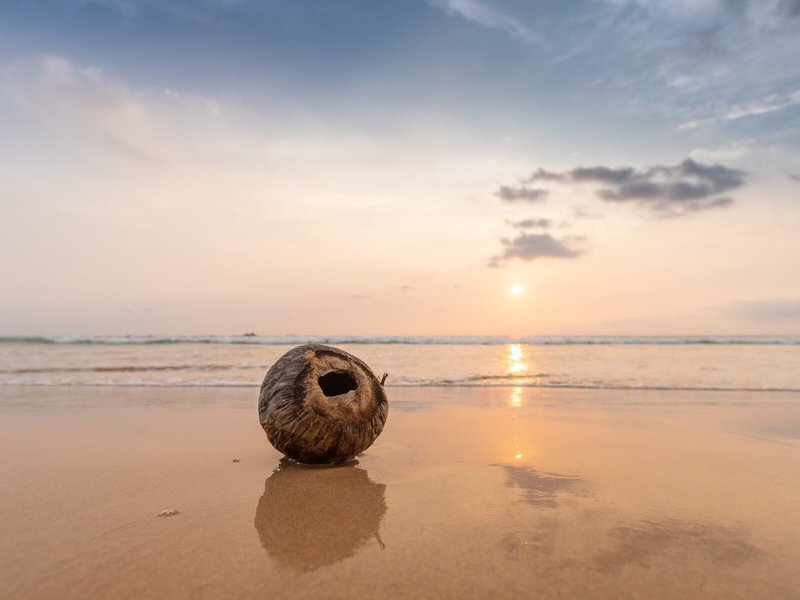 Bentota Beach by Cinnamon 6